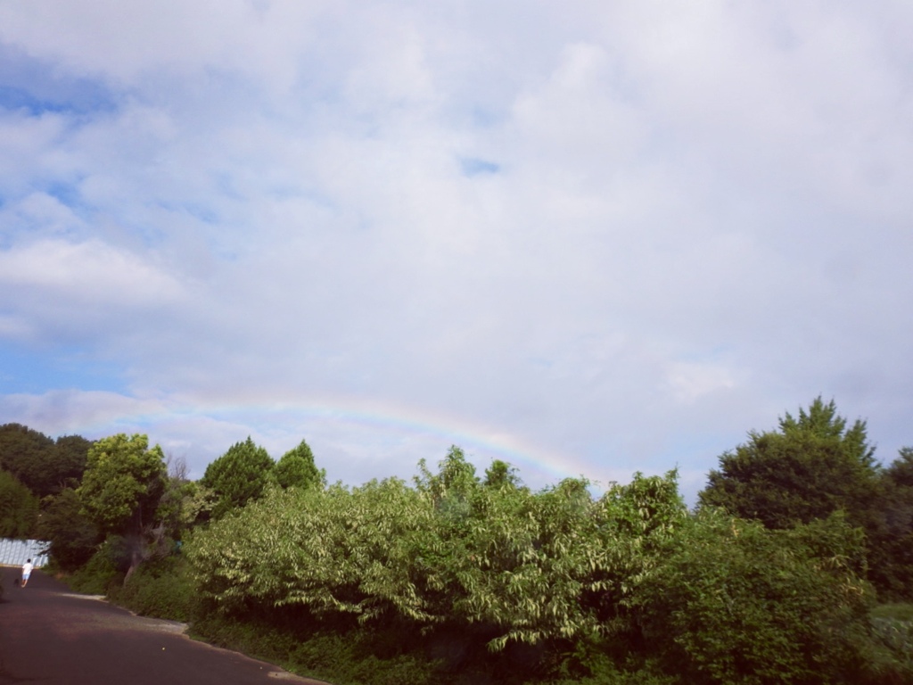 虹の散歩道～♪