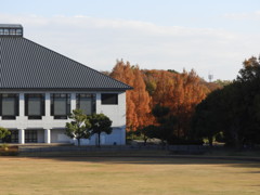 午後の運動公園