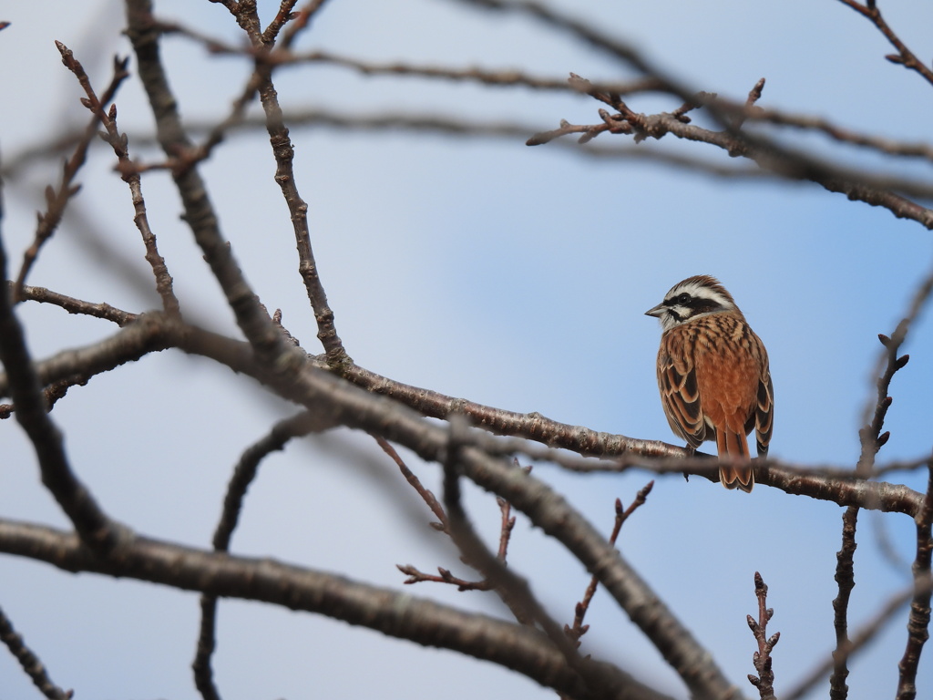 ボクも格好いいでしょ♪