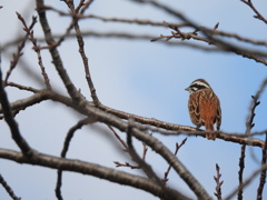 ボクも格好いいでしょ♪