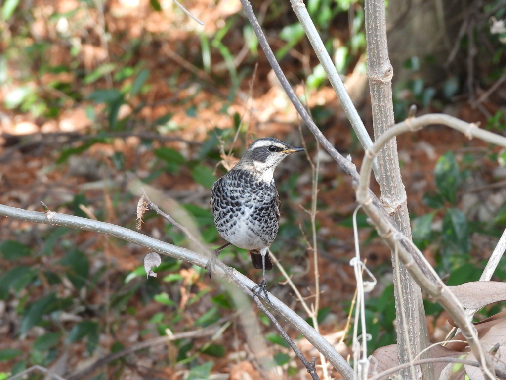 この角度から撮ってね♪