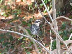 この角度から撮ってね♪