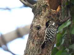 あと もう少しっ！