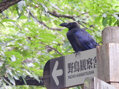 こちらです。