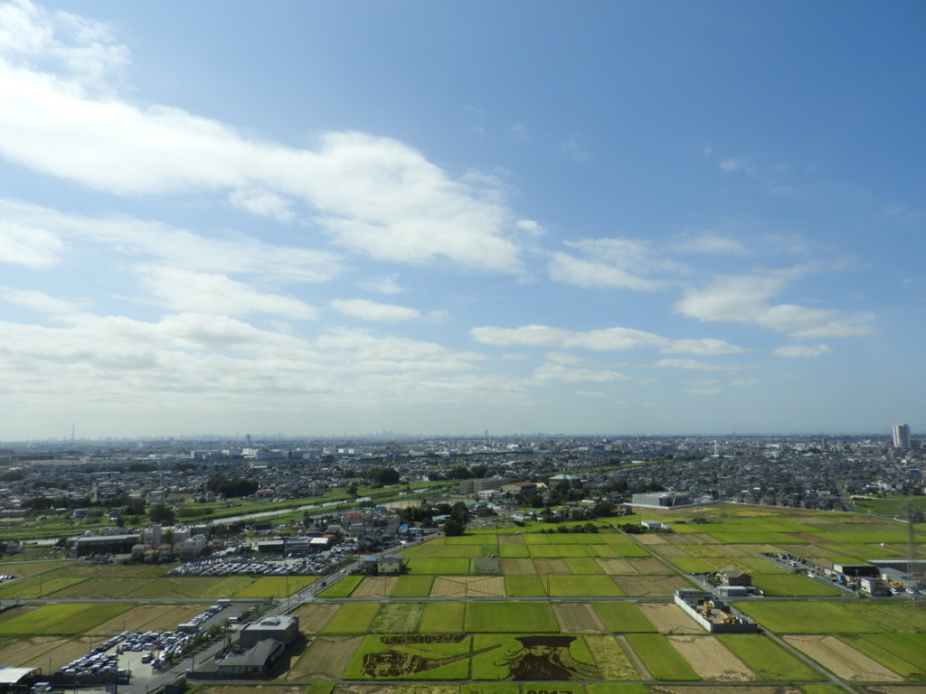 田んぼアート