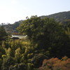 神社と紅葉