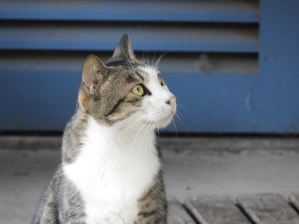 見つめて欲しいな～