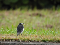 こっちはまだ濡れてるよっ！
