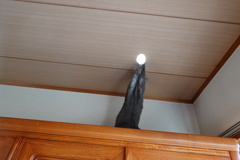 ナイスキャ～ッチ！