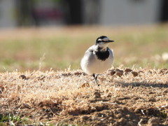 真冬のコーデ✨