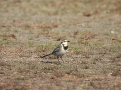 さて、どうしようかな？