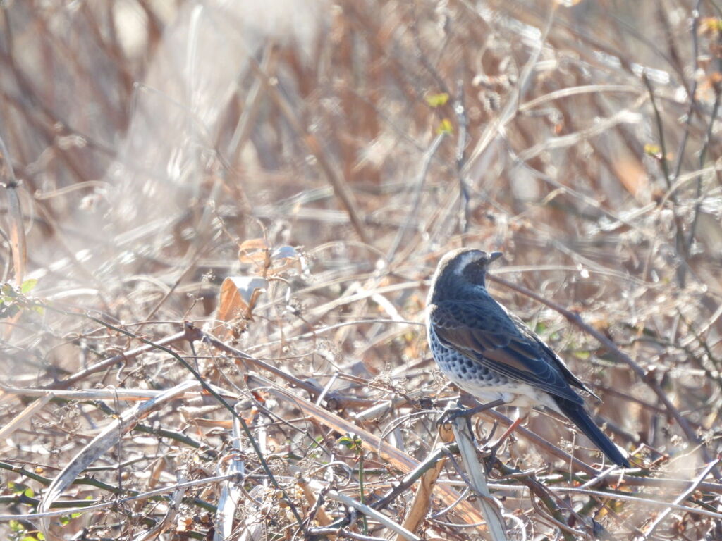 君が眩しくて～♪