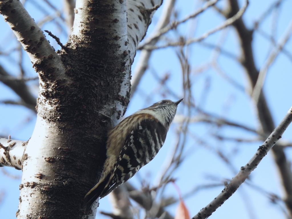 次はアッチだ～！