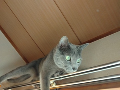 ここが好き～♪