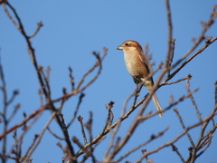 ここに決めたよ♪