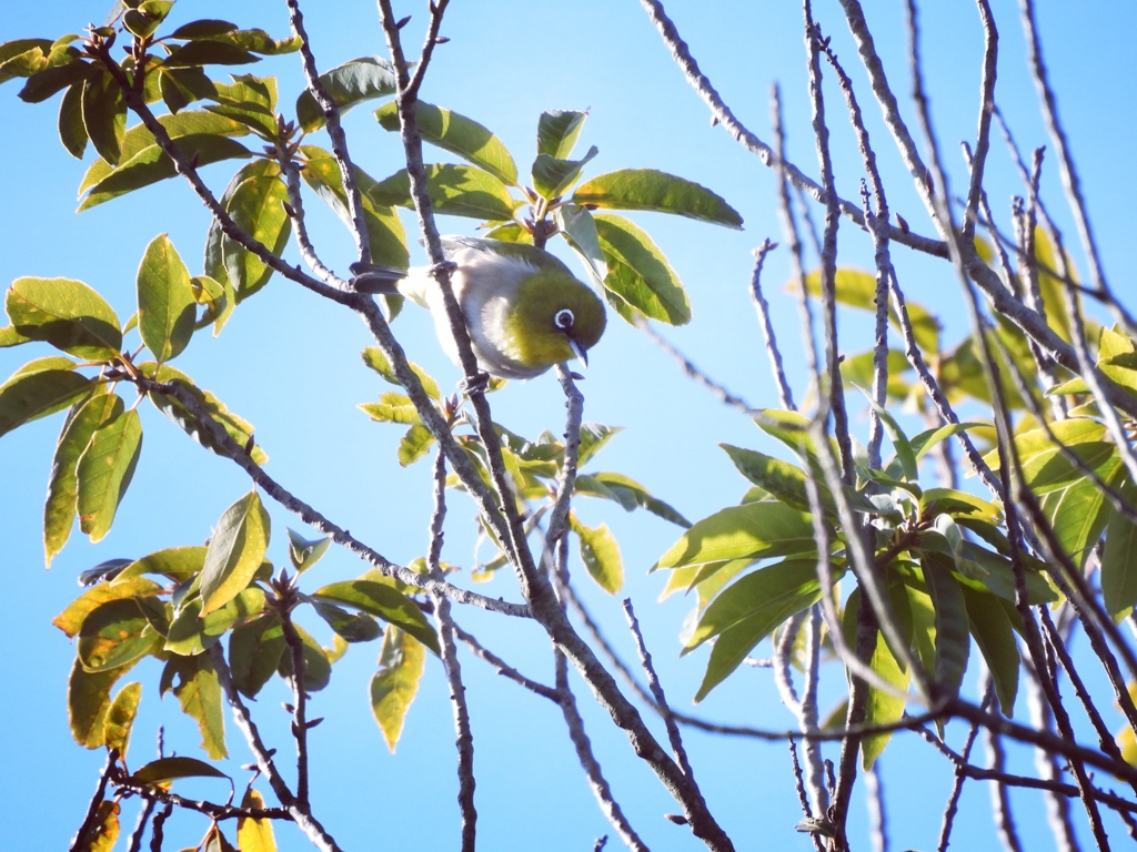 いま、行くよ～♪