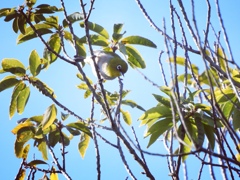 いま、行くよ～♪