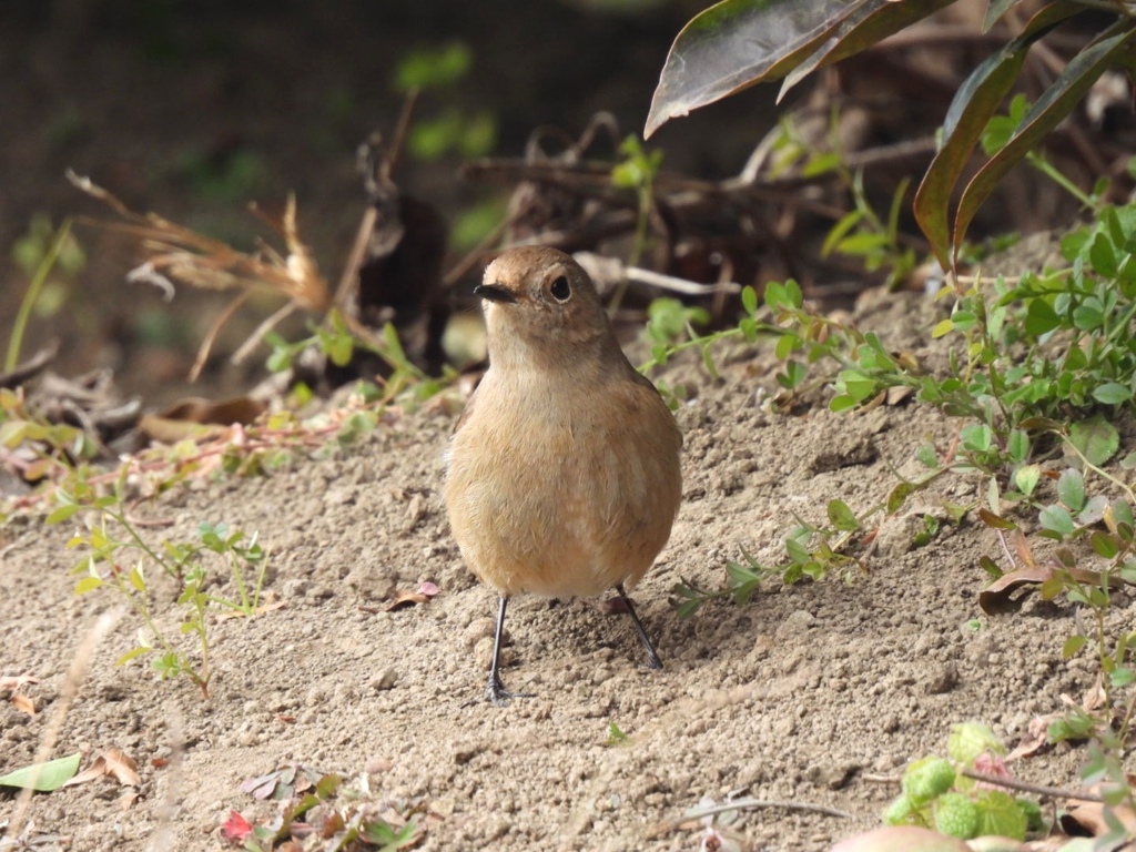 どこからみても　かわいいよ～♪