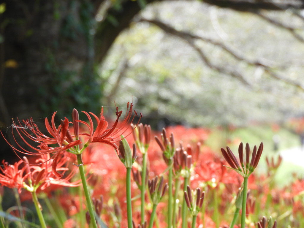 晴れたね＼(^_^)／