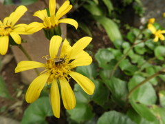 こっちの蜜も甘いよ‼
