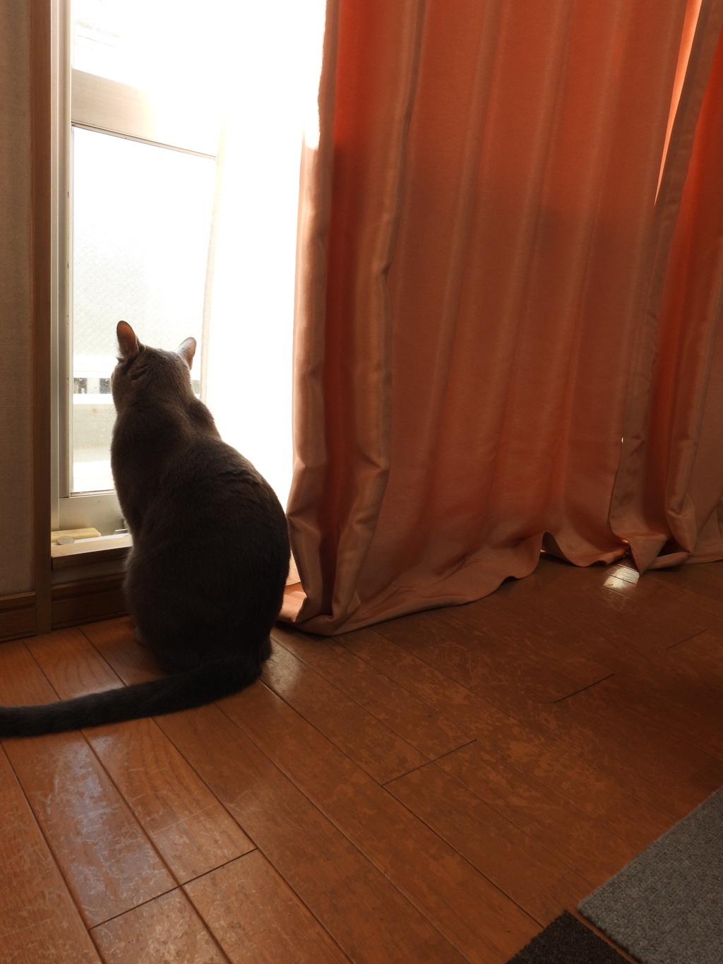 朝の光に～✨