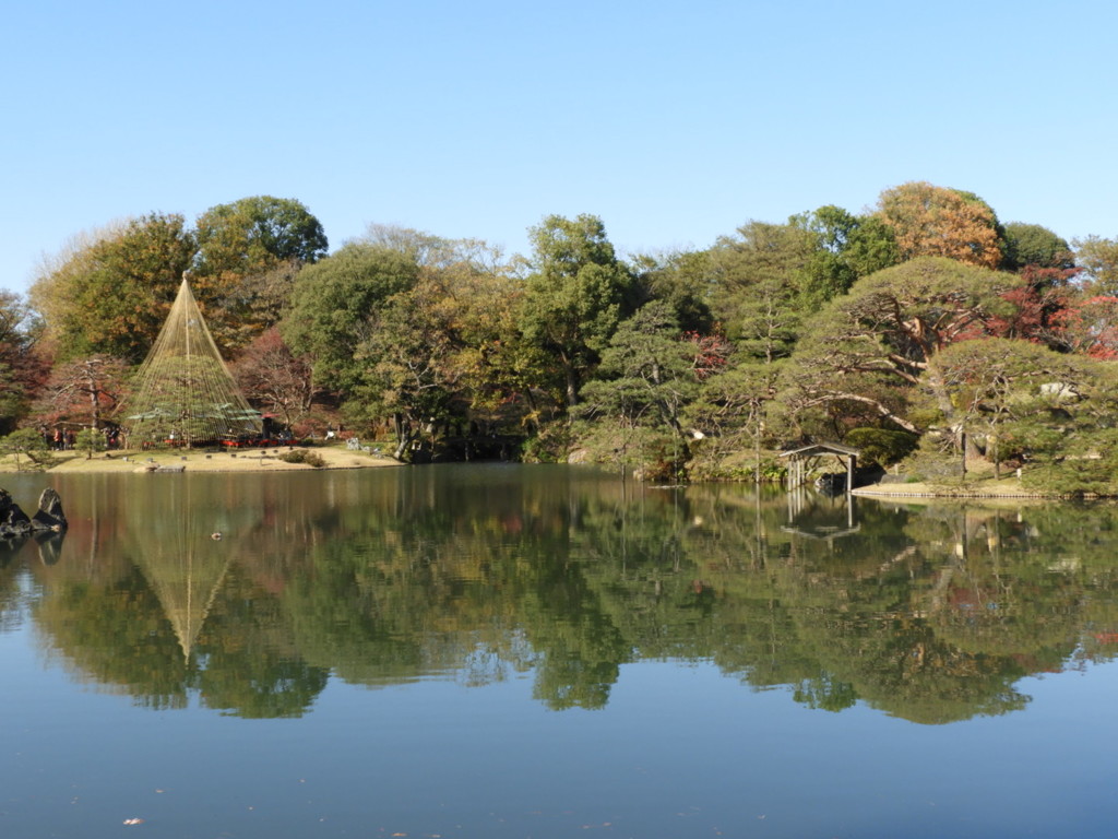 雪吊り  (六義園③)