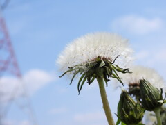 空までとどけ～♪