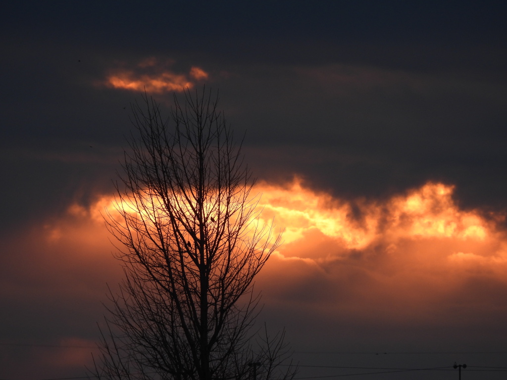 燃えるように...美しく♪