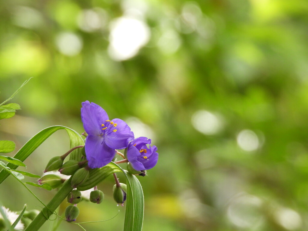 やさしいひかりに～♪