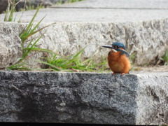 ここがいいんだけどな...。