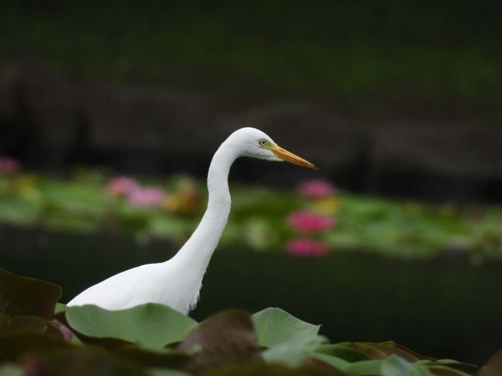 ここが好き♡