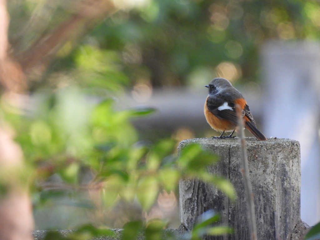 ヒカリをみつめて✨