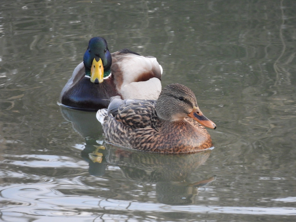 今年も仲良く～♡