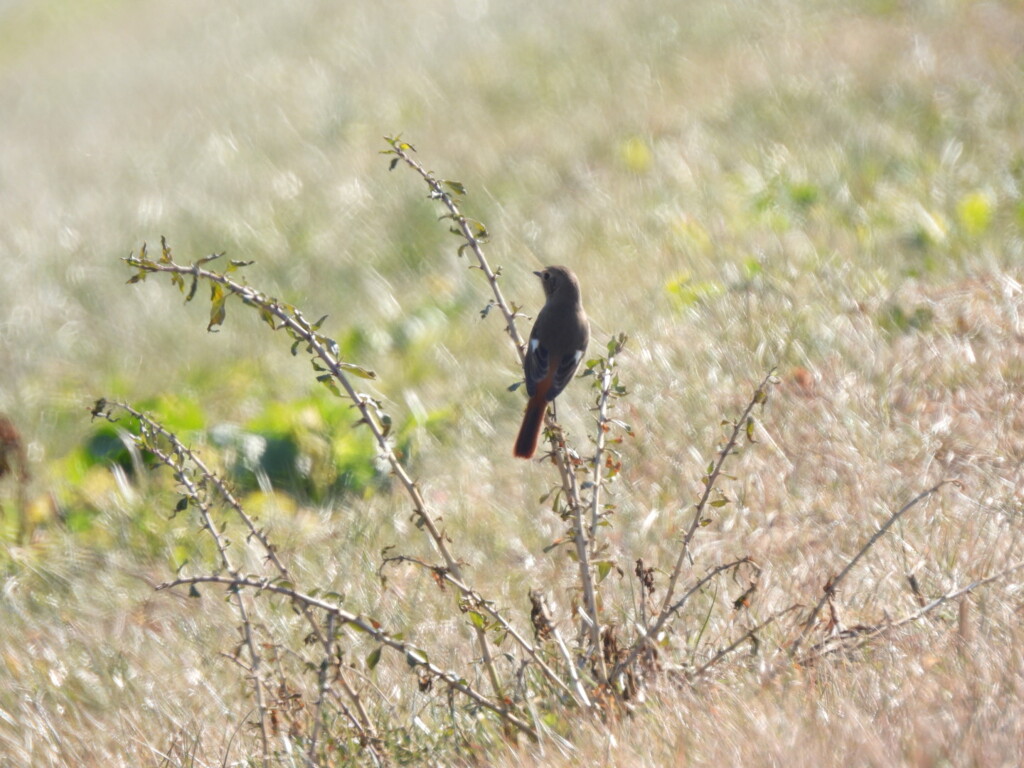 キラキラの中で♪