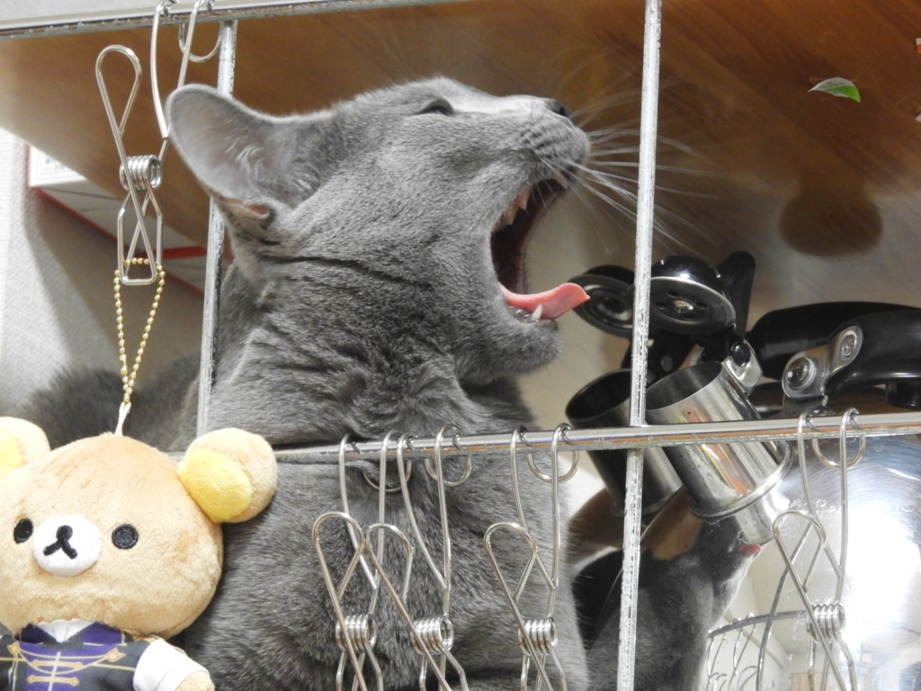 みんな口を開けて！