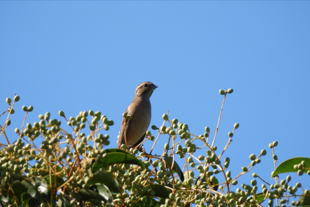青空って気持ちいい～♪