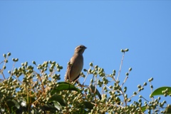 青空って気持ちいい～♪