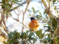 朝日を浴びて～♪