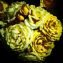 自然の花束