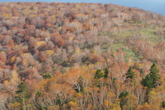 籾糠山の秋