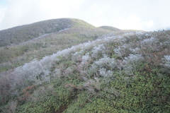 初冬の白木峰
