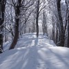 雪の尾根