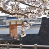桜と城門