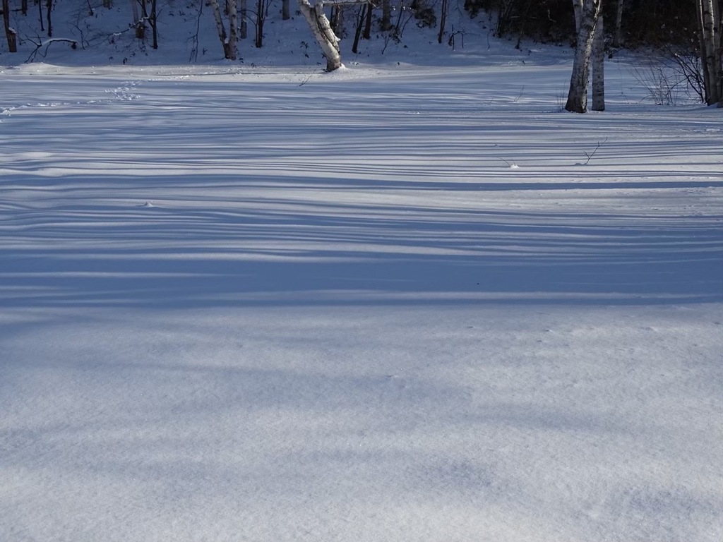   winter scenery