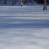   winter scenery