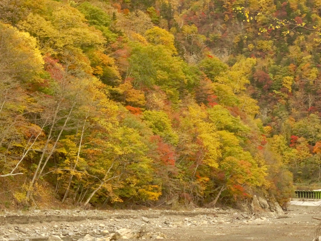 autumn colour