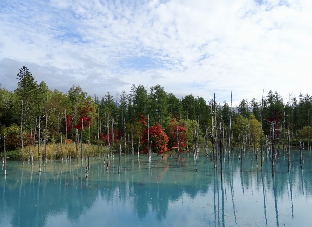 blue pond in autumn