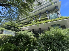 Flourishing greenery