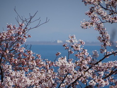 spring view