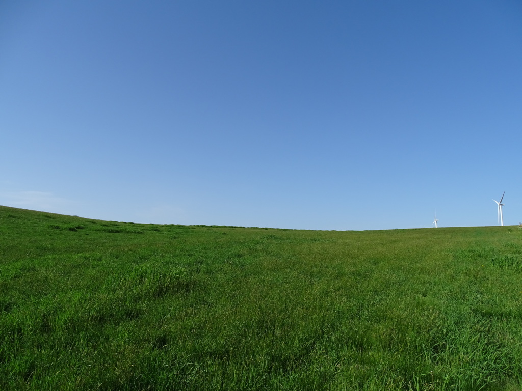 blue&green